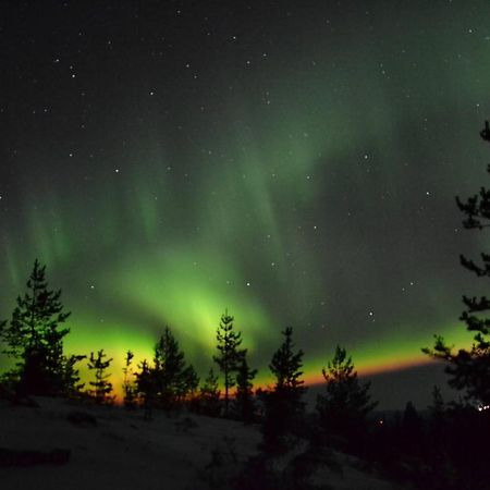 Lagomhuset - A Peaceful Holiday In Swedish Lapland Vidsel Ngoại thất bức ảnh