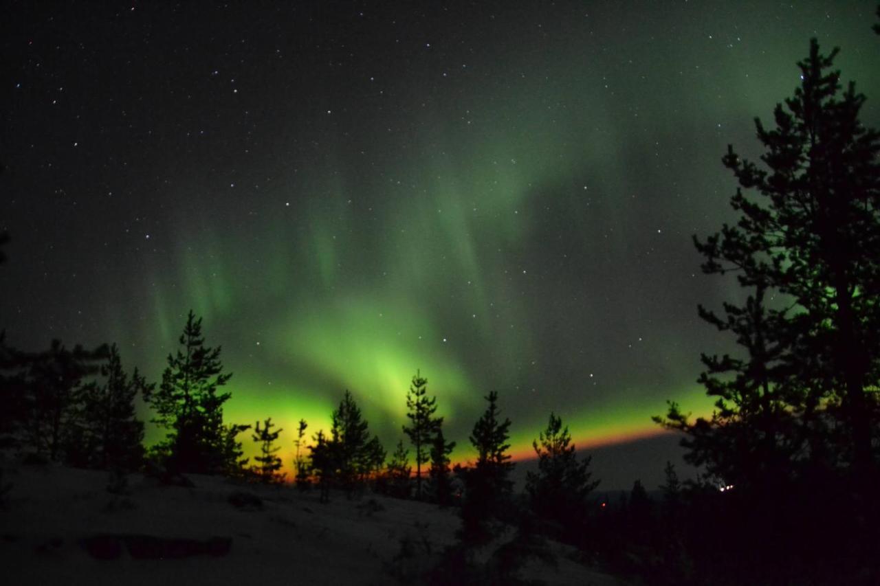 Lagomhuset - A Peaceful Holiday In Swedish Lapland Vidsel Ngoại thất bức ảnh