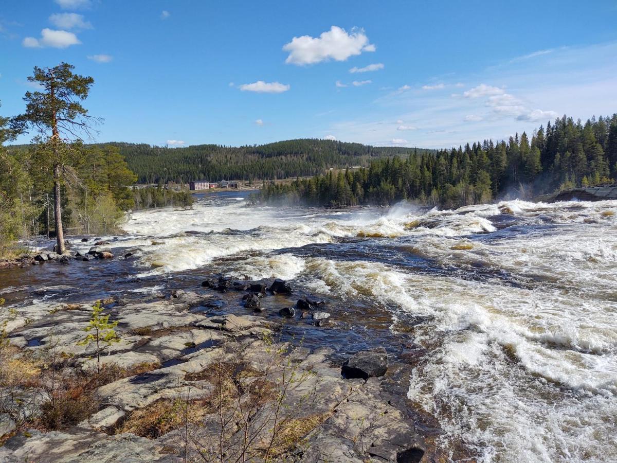 Lagomhuset - A Peaceful Holiday In Swedish Lapland Vidsel Ngoại thất bức ảnh
