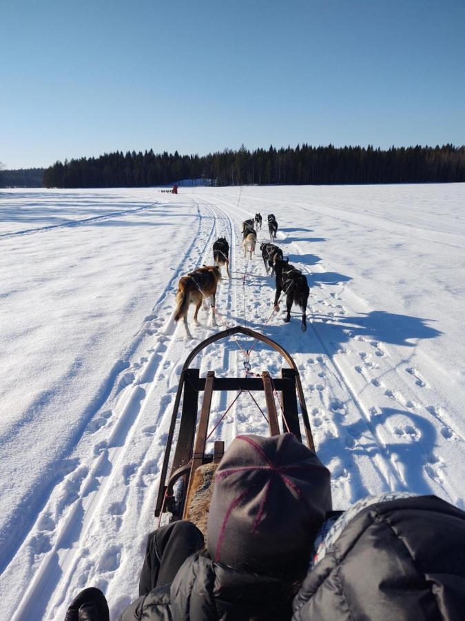 Lagomhuset - A Peaceful Holiday In Swedish Lapland Vidsel Ngoại thất bức ảnh